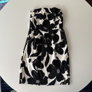Express Cocktail Dress